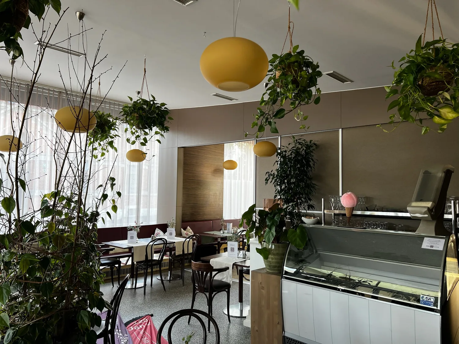 Sitzbereich mit Hängepflanzen im Café